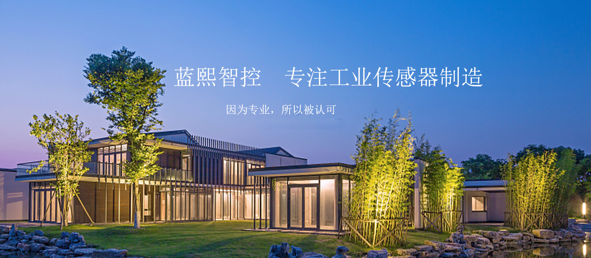 工业传感器，监测类传感器
